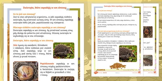 Zwierzęta które zasypiają na zimę – ciekawostki i zabawy dla przedszkolaków