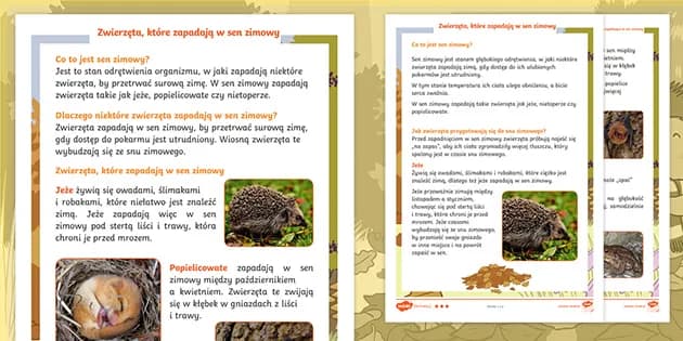 Zwierzęta które zasypiają na zimę – ciekawostki i zabawy dla przedszkolaków