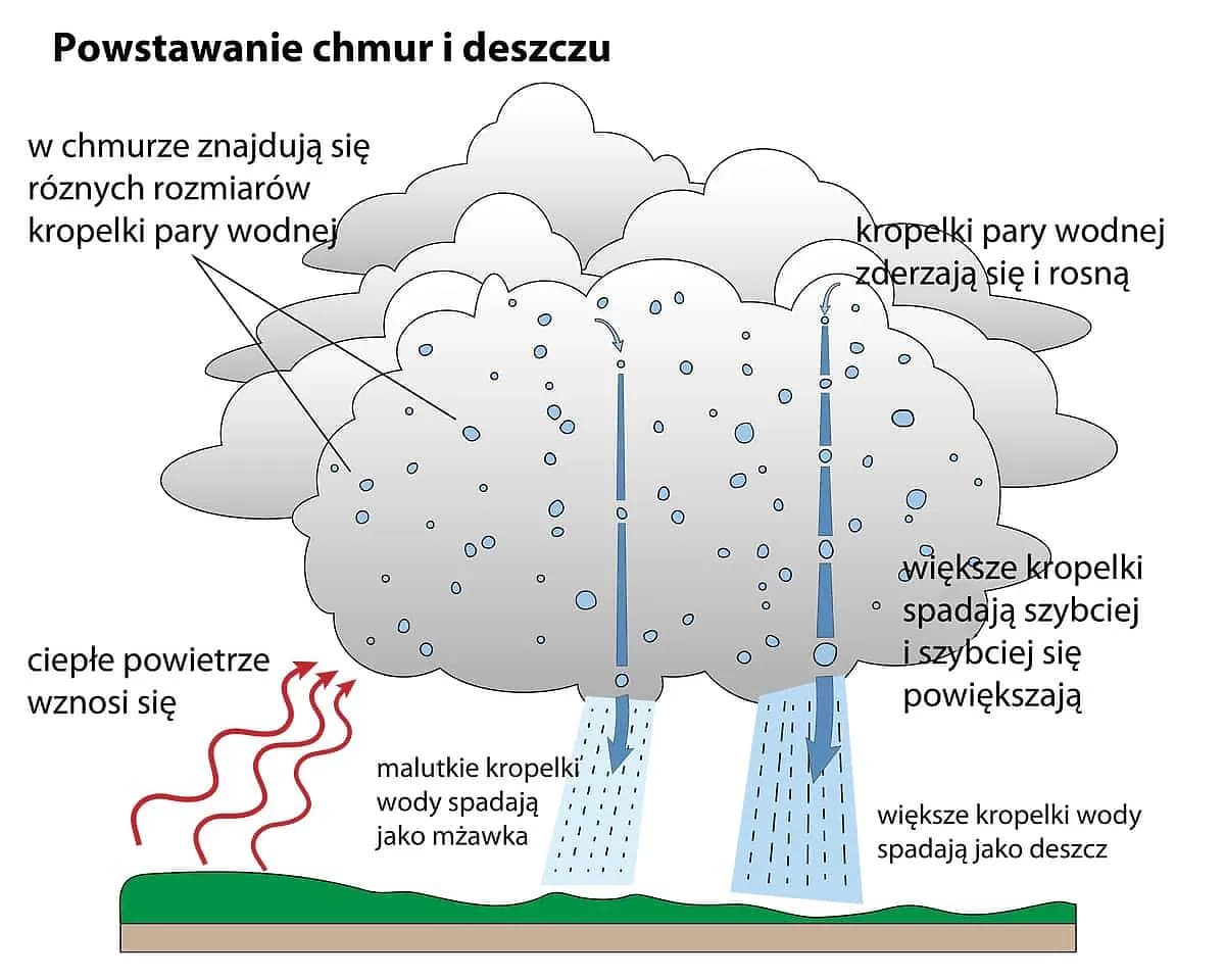 Jak powstaje deszcz? Proste wyjaśnienie dla przedszkolaków z ciekawymi eksperymentami